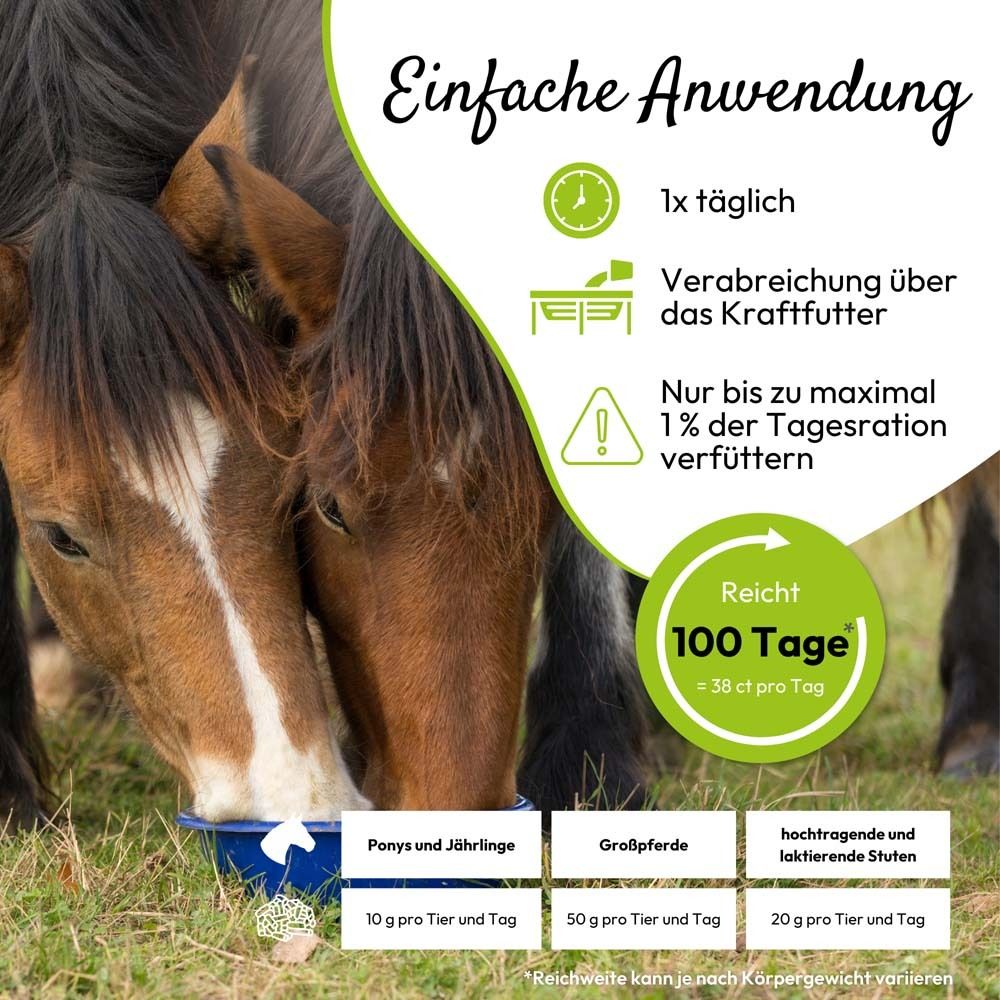 Pferde fressen aus einer blauen Schüssel. Anwendungshinweise: 1x täglich.