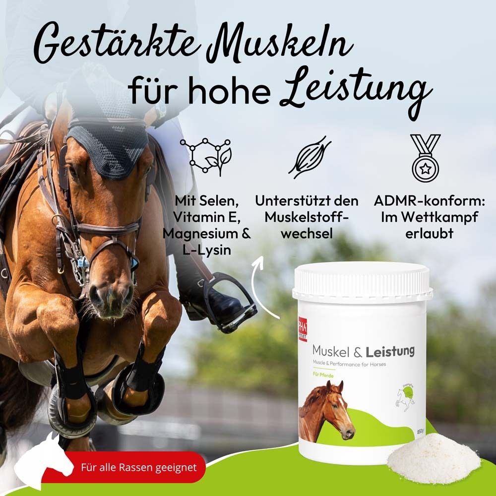 Pferd springt. Text: Gestärkte Muskeln für hohe Leistung. Dose und Pulver.
