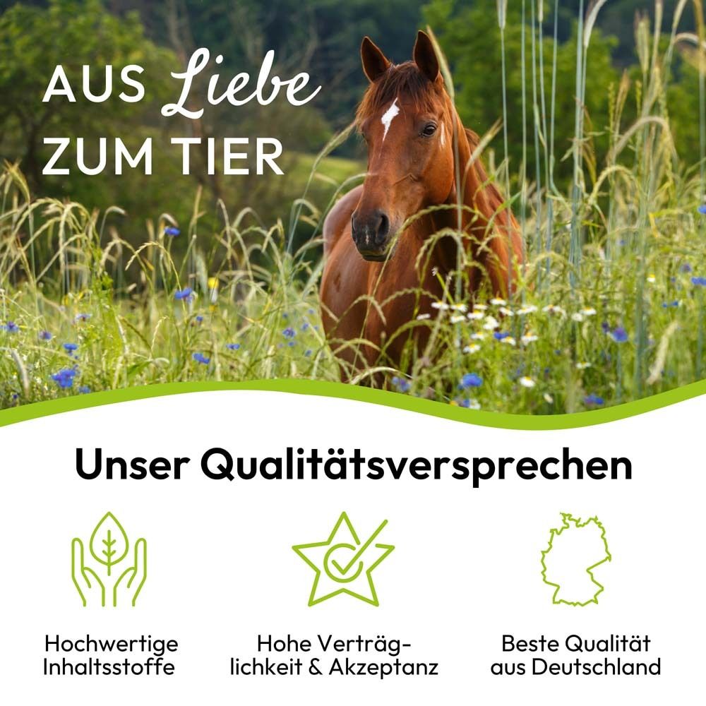 Text: Aus Liebe zum Tier. Pferd in Wiese. Text: Unser Qualitätsversprechen. Symbole: Inhaltsstoffe, Verträglichkeit, Qualität.