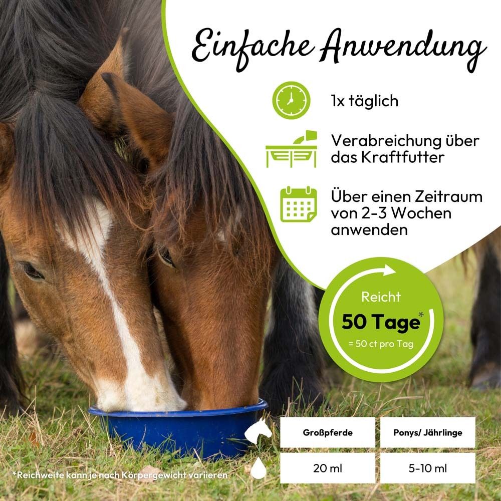 Pferde fressen aus einer blauen Schüssel. Text: 1x täglich, 2-3 Wochen, 50 Tage.