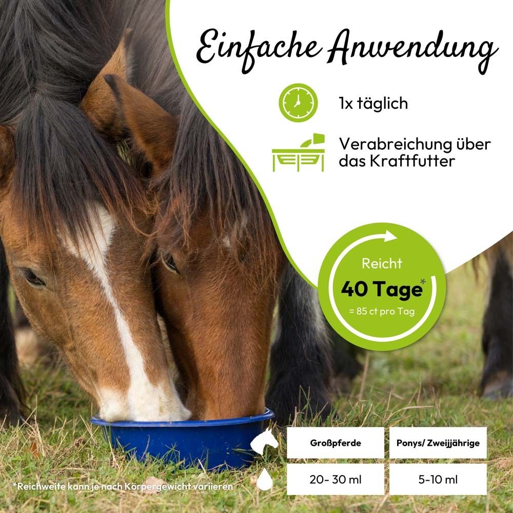 Zwei Pferde fressen aus einer blauen Schüssel. Text: Einfache Anwendung. Icons.