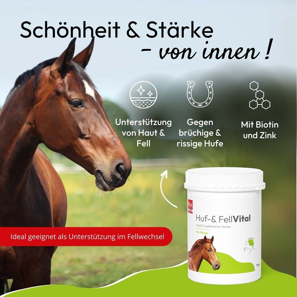 Pferd neben Produkt-Behälter. Text: Schönheit & Stärke - von innen! Symbole: Haut & Fell, Hufe, Biotin & Zink.