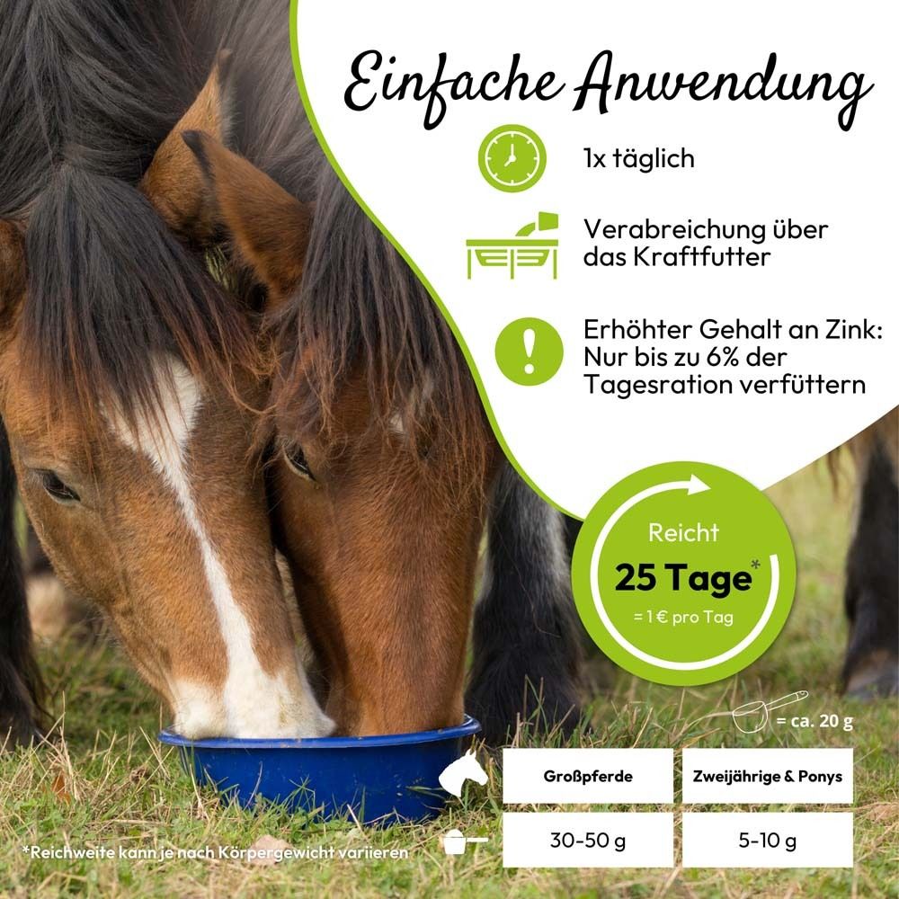 Zwei Pferde fressen aus einer blauen Schüssel. Text: Einfache Anwendung. Grafiken.