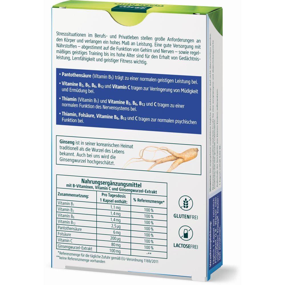 Rückseite der Kneipp® Gedächtnis + Konzentration Packung. Enthält Informationen zu Inhaltsstoffen und Nährwerten. Glutenfrei und laktosefrei.