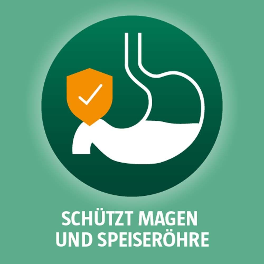 Kreis mit Magen-Illustration und Schild. Text: Schützt Magen und Speiseröhre.