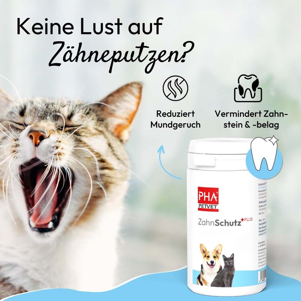 Katze gähnt neben Dose. Text: Keine Lust auf Zähneputzen? Reduziert Mundgeruch, vermindert Zahnstein.