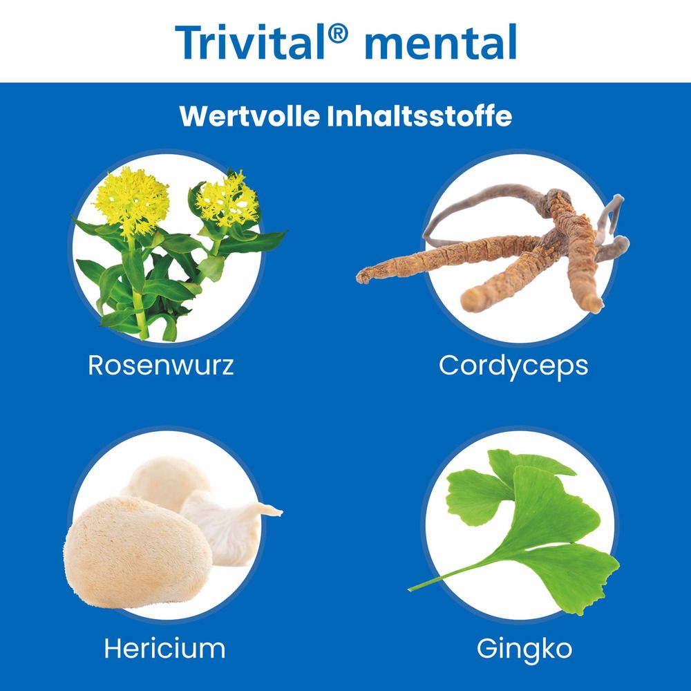 Trivital® mental. Abbildung von Rosenwurz, Cordyceps, Hericium und Ginko. Wertvolle Inhaltsstoffe.