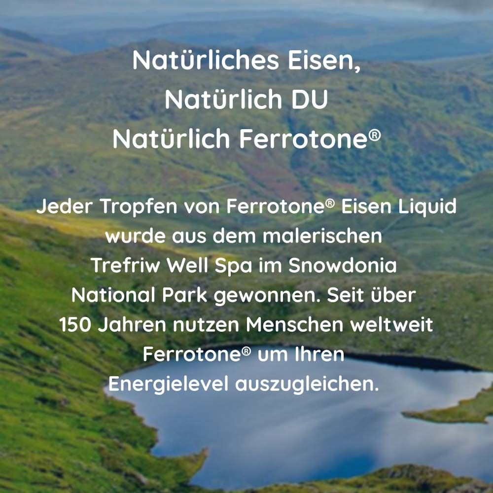 Landschaft mit See. Text: Natürliches Eisen, Natürliches DU, Natürliches Ferrotone. Herkunftsort.