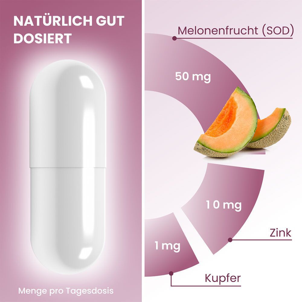 Kapsel und Zutatenübersicht von plantoCAPS® CELLUVITE® PLUS mit Melone, Zink und Kupfer.