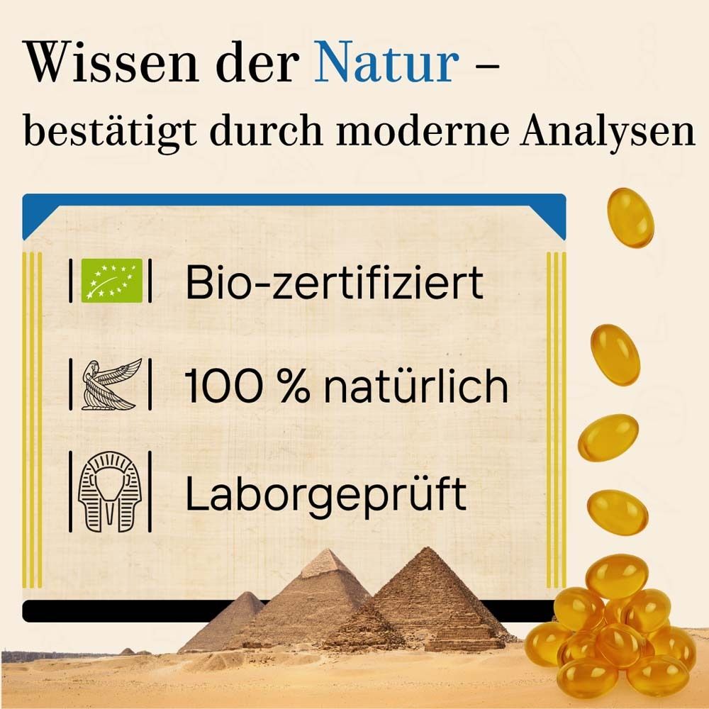 Grafik mit gelben Kapseln. Text: Wissen der Natur - bestätigt durch moderne Analysen. Bio-zertifiziert, 100% natürlich, laborgeprüft.
