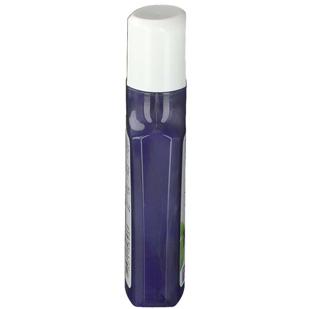 RAUSCH Salbei Silberglanz-Shampoo