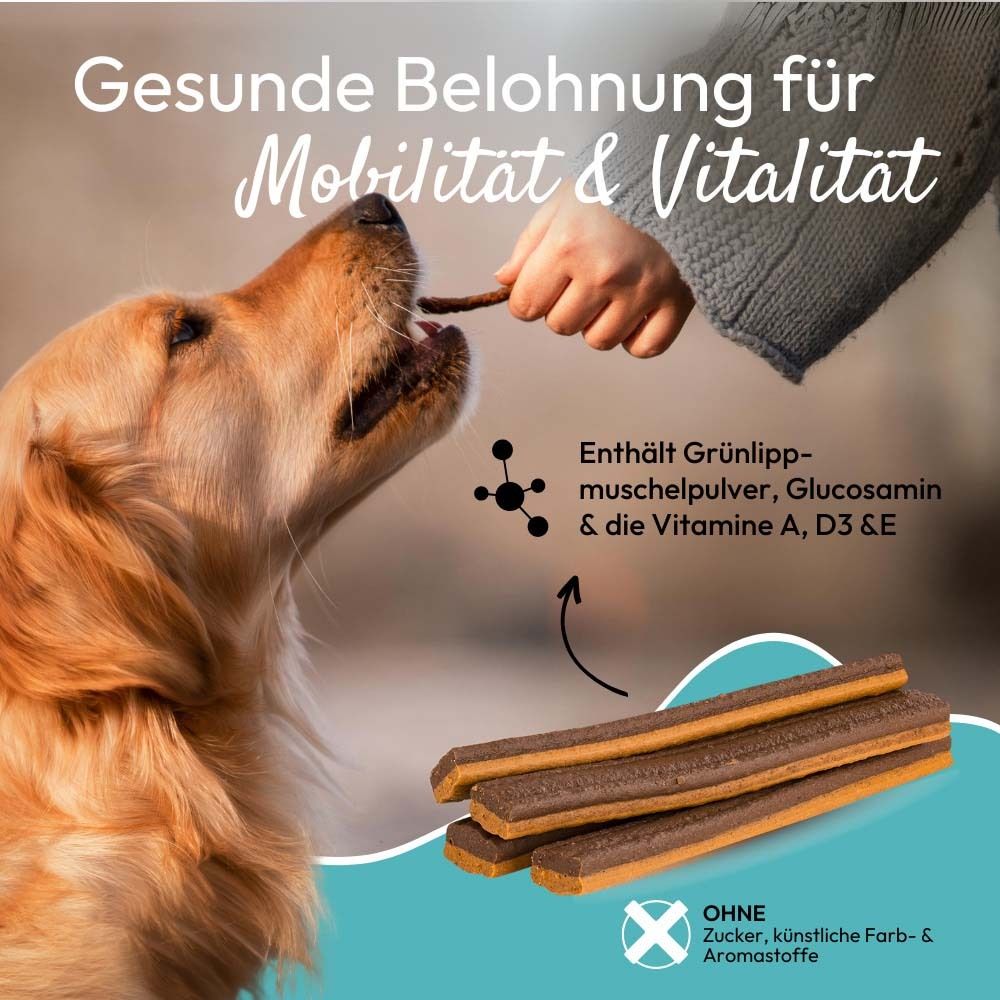 Hund bekommt Stick. Text: Gesunde Belohnung für Mobilität & Vitalität. Enthält Grünlippmuschelpulver, Glucosamin & Vitamine.