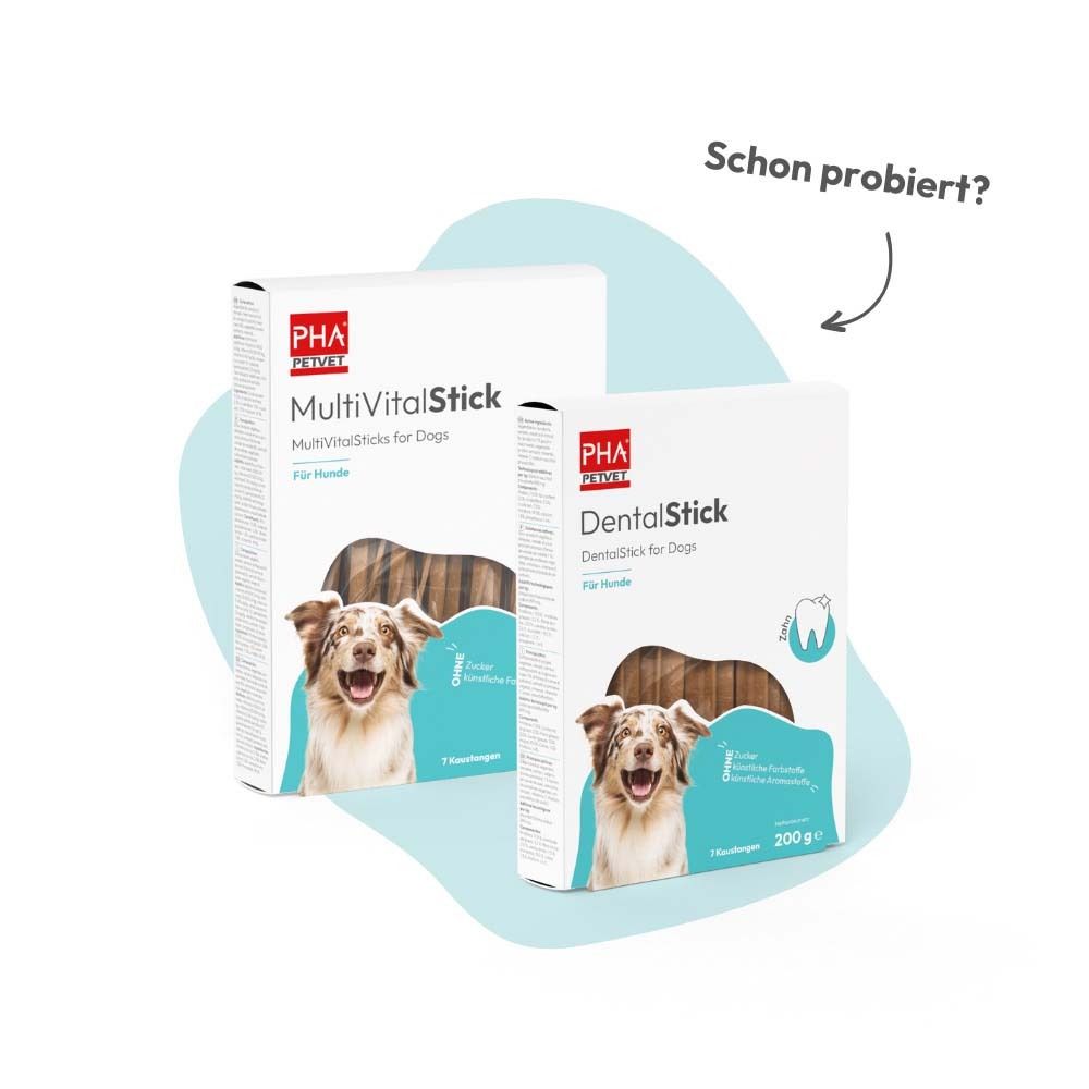 Zwei Verpackungen. PHA MultiVitalStick und DentalStick. Aufdruck: GelenkStick, JointStick for Dogs.