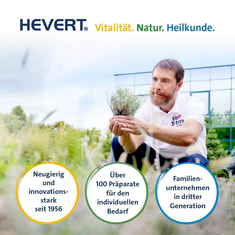 Mann hält Pflanze. Hevert: Familienunternehmen seit 1956, über 100 Präparate, in dritter Generation.