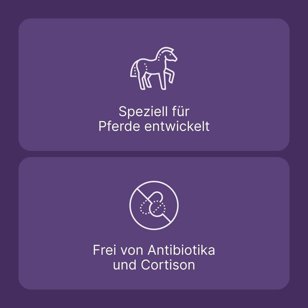 ICHTHO VET® SHAMPOO für Pferde