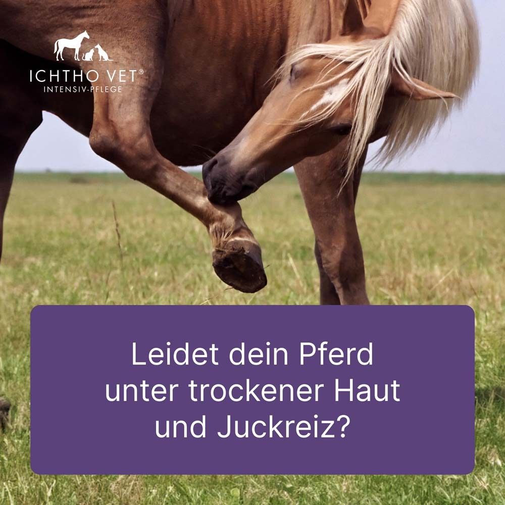 ICHTHO VET® Derma-Creme für Pferde