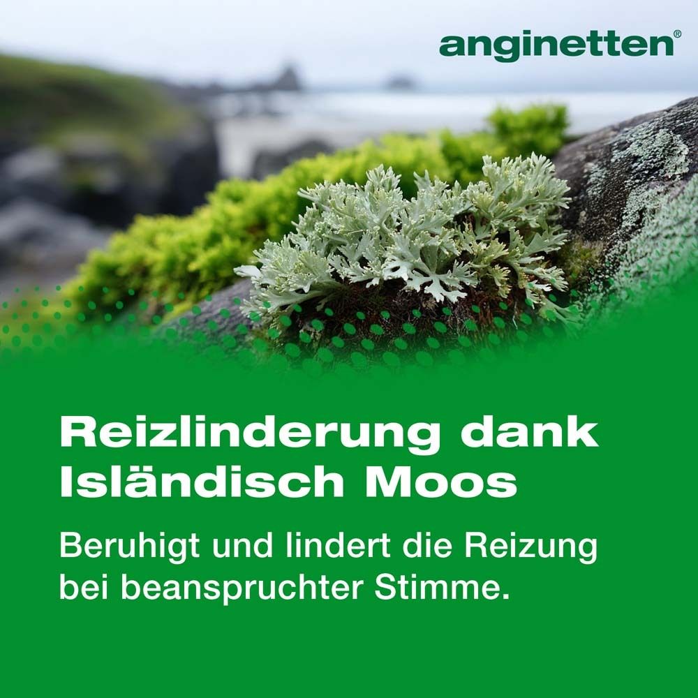 anginetten® Stimme. Text: Reizlinderung dank Isländisch Moos. Beruhigt und lindert die Reizung bei beanspruchter Stimme.