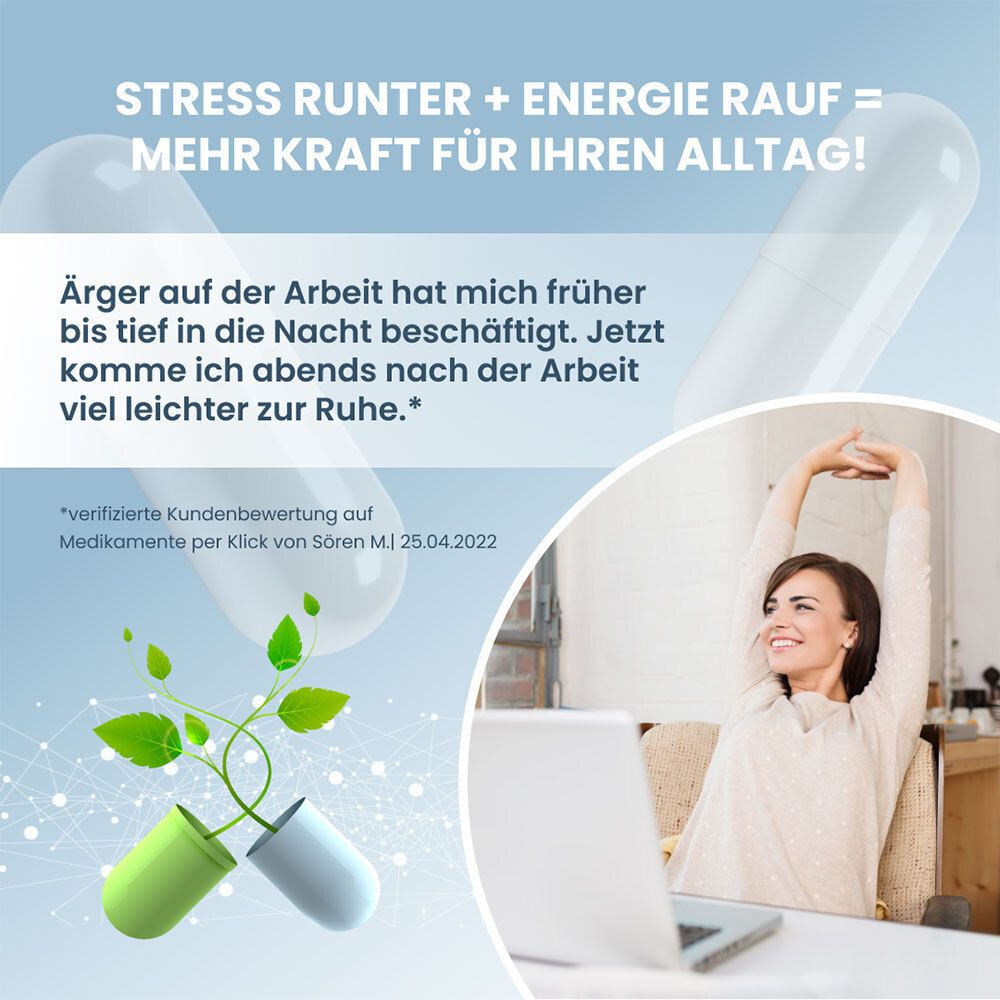 Rückseite der PlantoCaps SHYX PREMIUM Verpackung mit Zutatenliste und Dosierungsempfehlung.