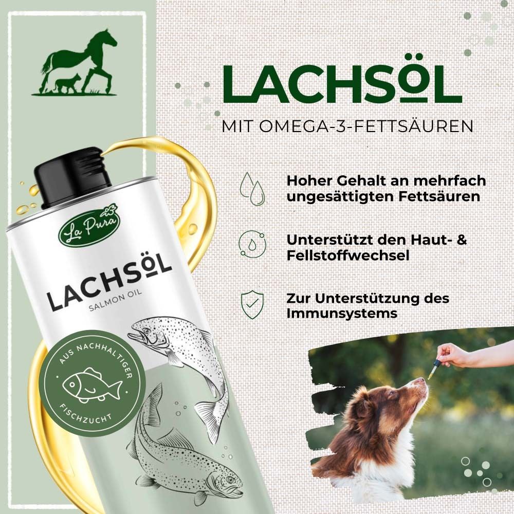 Dose mit Lachsöl und Text. Aufschrift: Lachsöl. Illustration von Fischen. Hund isst. Hintergrund mit Öltropfen.