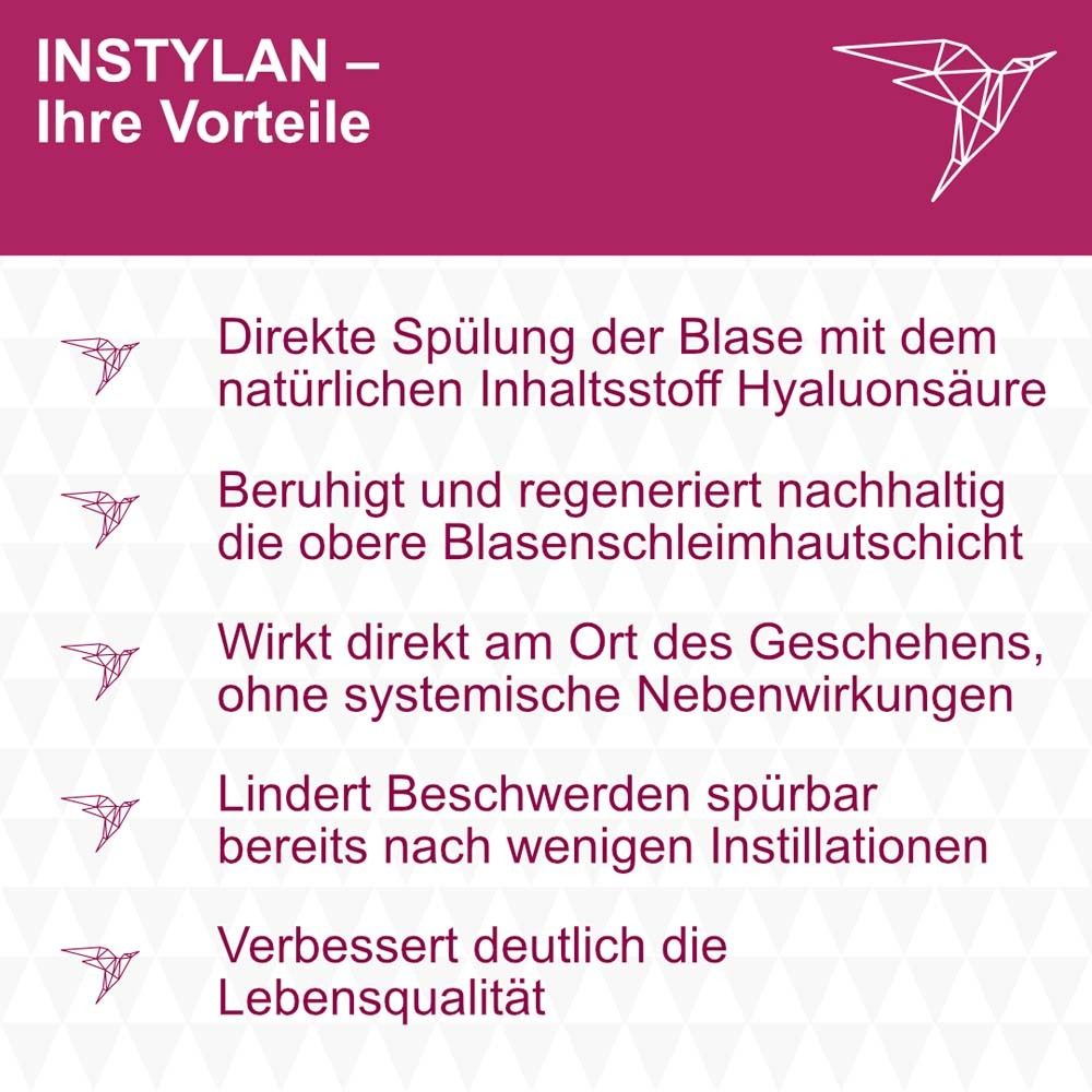 Text: INSTYLAN - Ihre Vorteile. Aufzählung von Vorteilen der Anwendung.