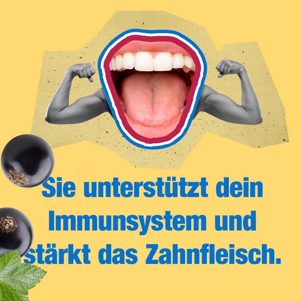 Collage mit Mund und Armen. Text: Sie unterstützt dein Immunsystem und stärkt das Zahnfleisch. Schwarze Johannisbeeren.