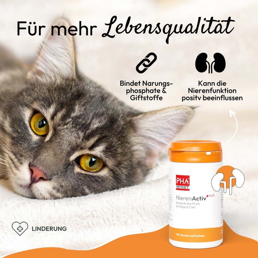 Katze mit Dose. Text und Logos. Produktbezeichnung und Logos.