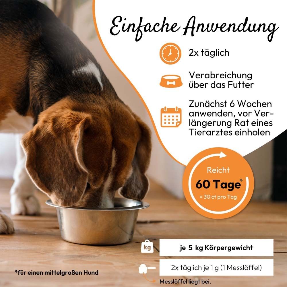 Illustration mit Text über Anwendung. Hund isst aus Napf. Symbole für Dosierung und Dauer.