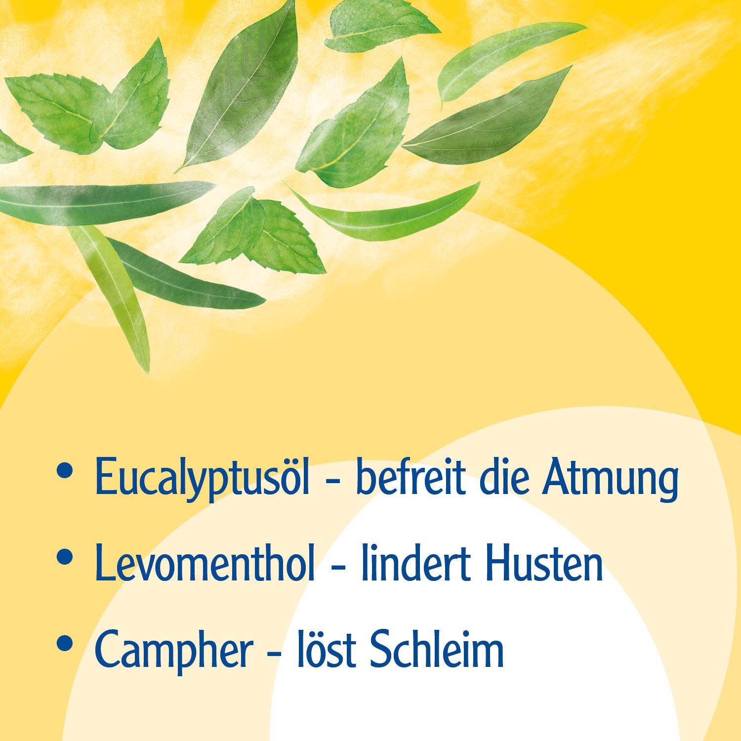 Pinimenthol® Erkältungsbad ab 12 Jahren - mit Eucalyptusöl, Menthol und Campher