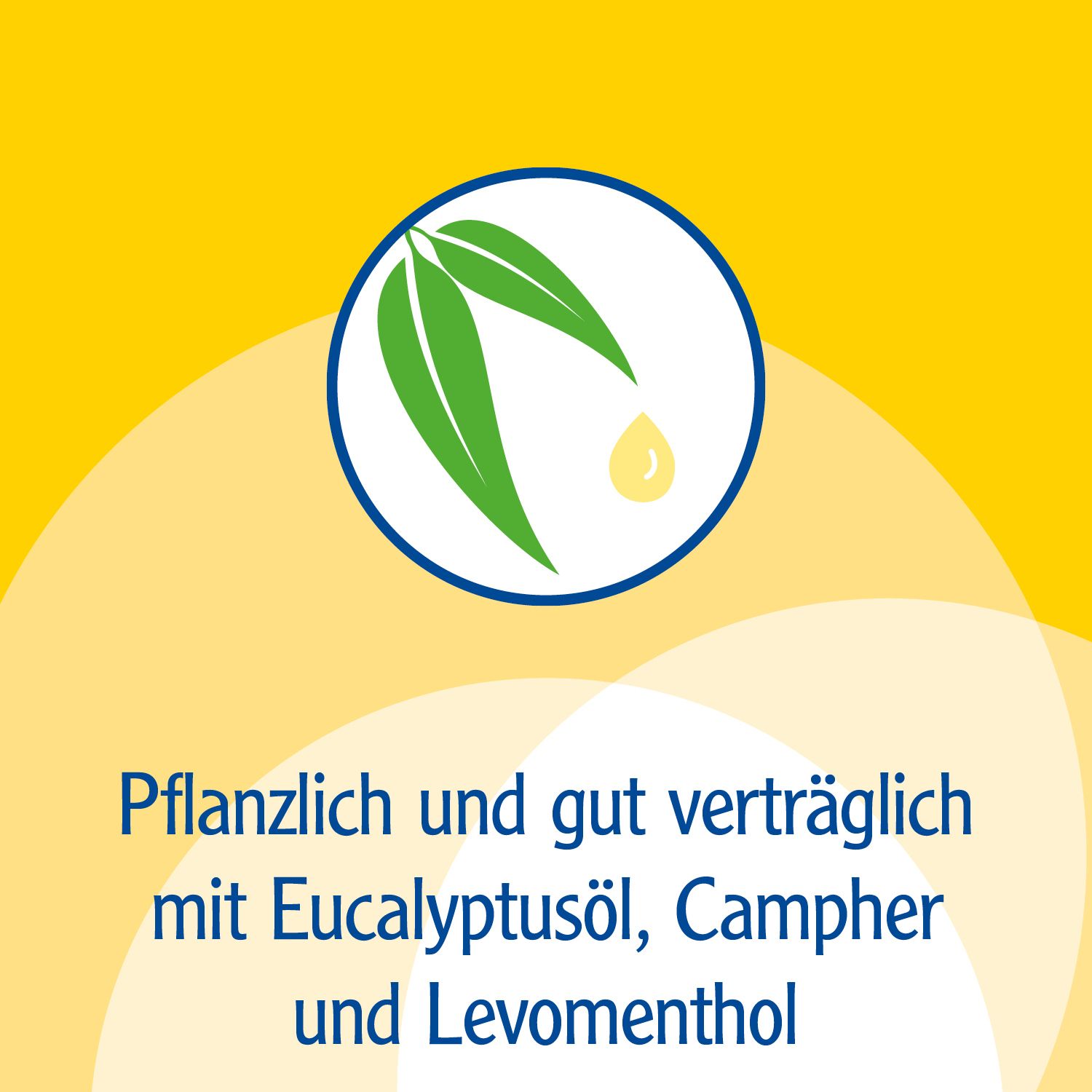 Pinimenthol® Erkältungsbad ab 12 Jahren - mit Eucalyptusöl, Menthol und Campher