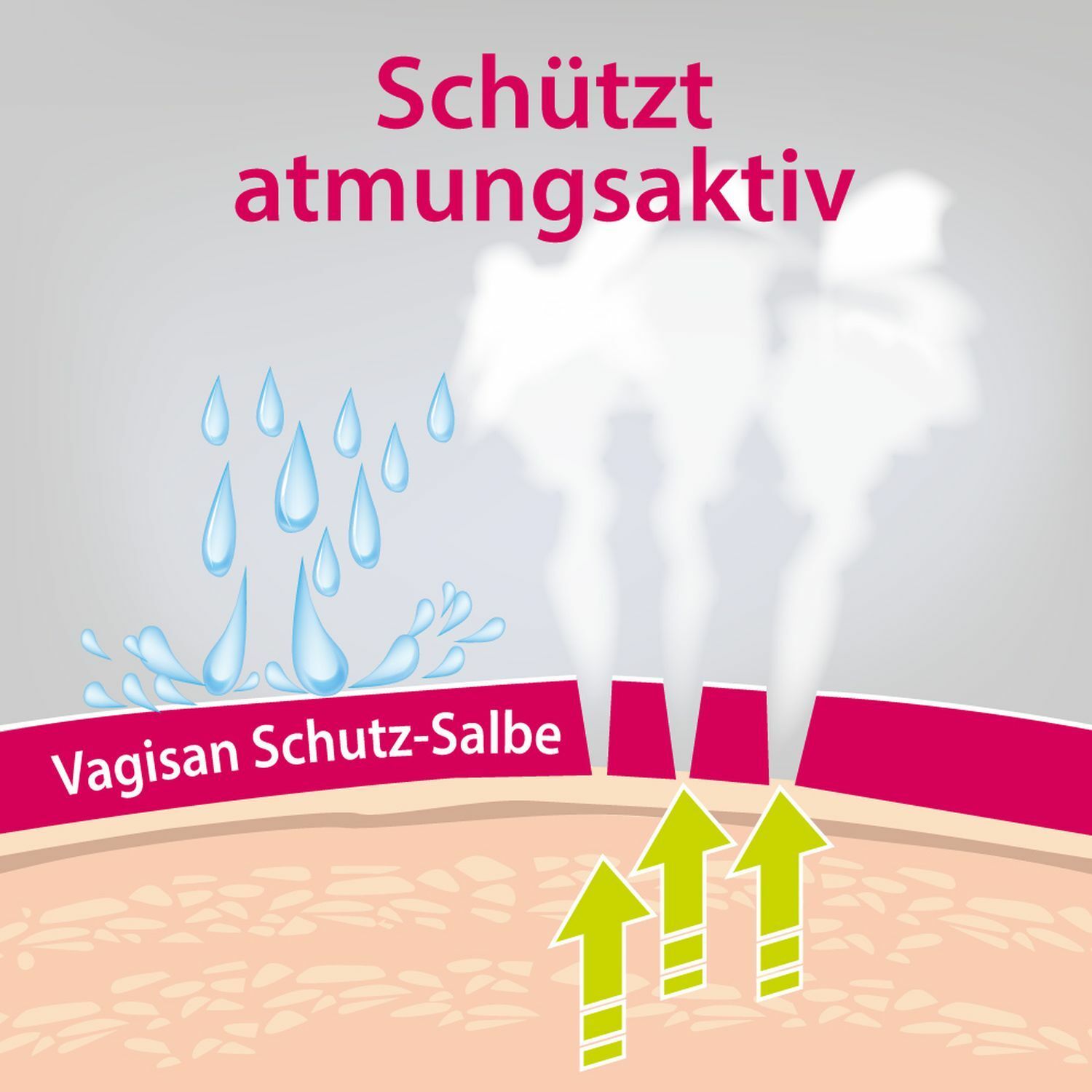 Vagisan Schutz-Salbe: Atmungsaktive Wundschutzcreme für den Intimbereich und zur täglichen Intimpflege