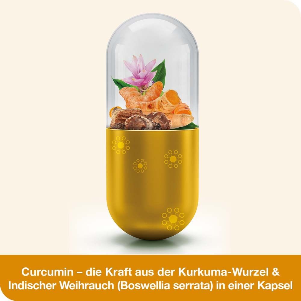 curcumin-Loges® plus Boswellia