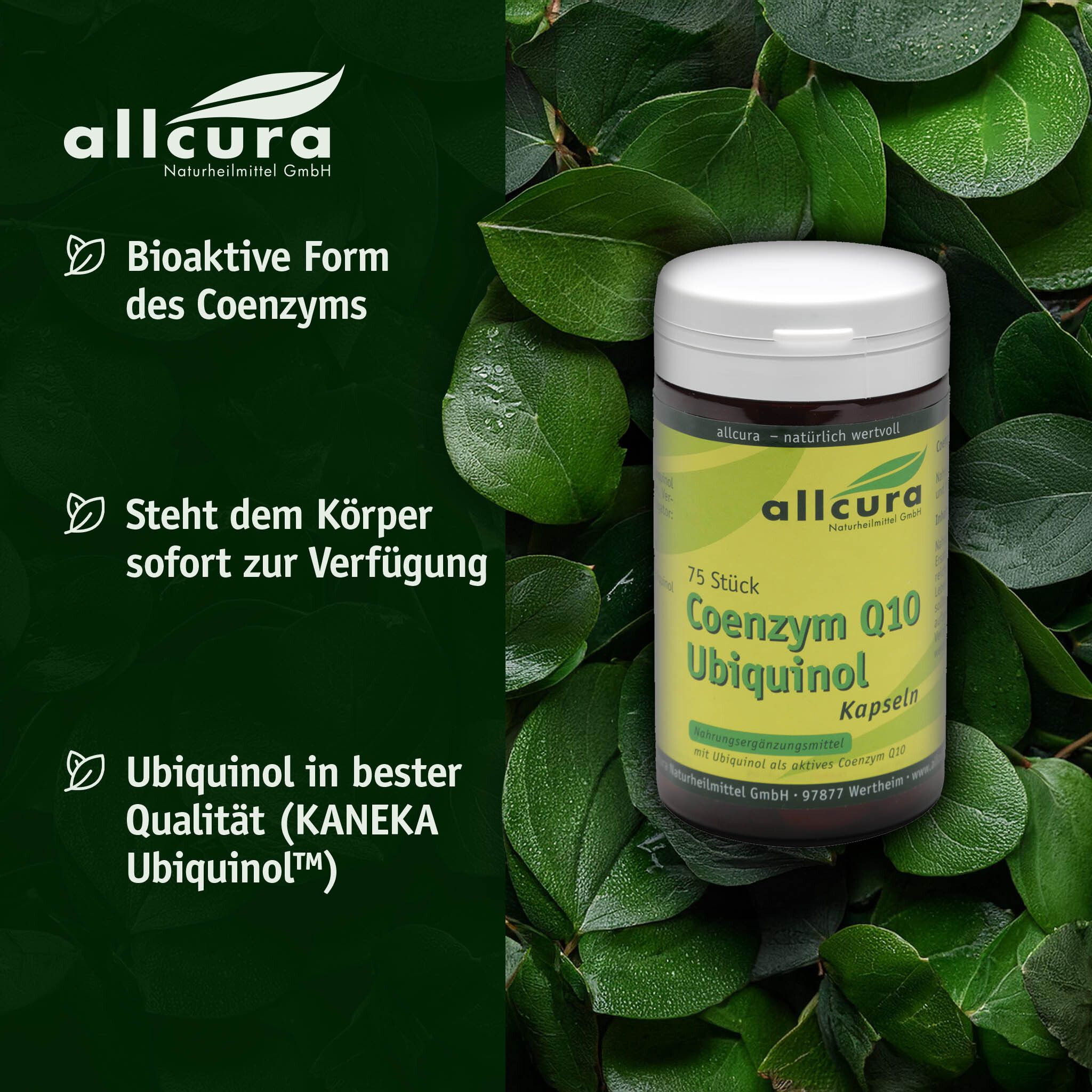 Grüner Hintergrund mit Blättern. Text: Bioaktive Form des Coenzyms. Ubiquinol in bester Qualität.