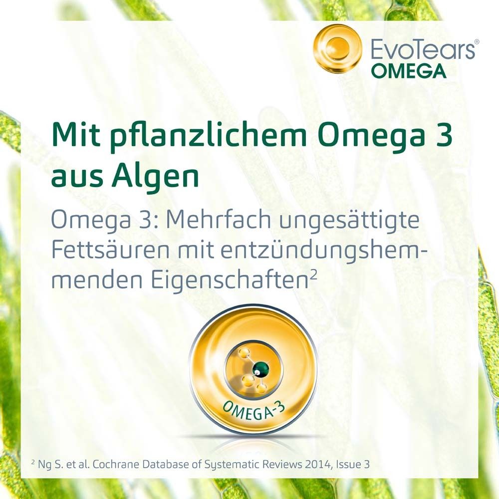 Text auf grünem Hintergrund. Mit pflanzlichem Omega 3 aus Algen. Omega 3: Mehrfach ungesättigte Fettsäuren mit entzündungshemmenden Eigenschaften.