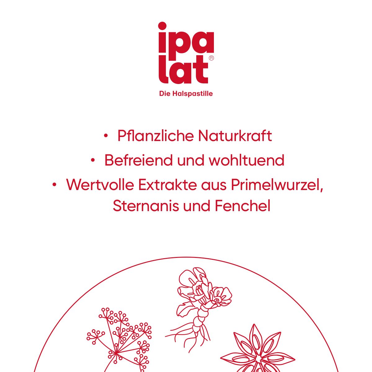 ipalat® Honigmild mentholfrei