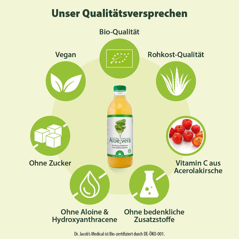Grafik mit Produktmerkmalen. Text: Vegan, Bio-Qualität, Rohkost-Qualität, ohne Zucker, ohne Aloine, Vitamin C aus Acerola.