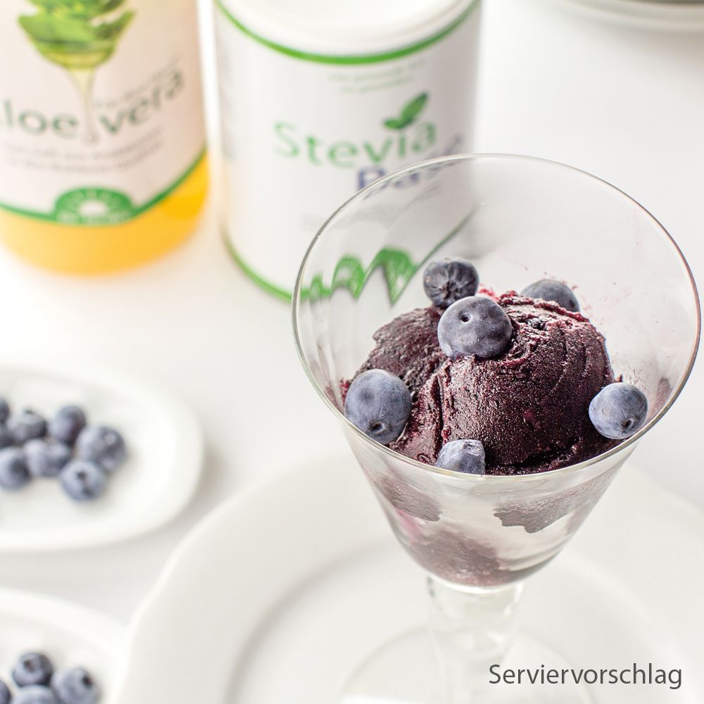 Dessert mit Blaubeeren in einem Glas. Im Hintergrund Aloe vera und Stevia Produkte. Servierbeispiel.
