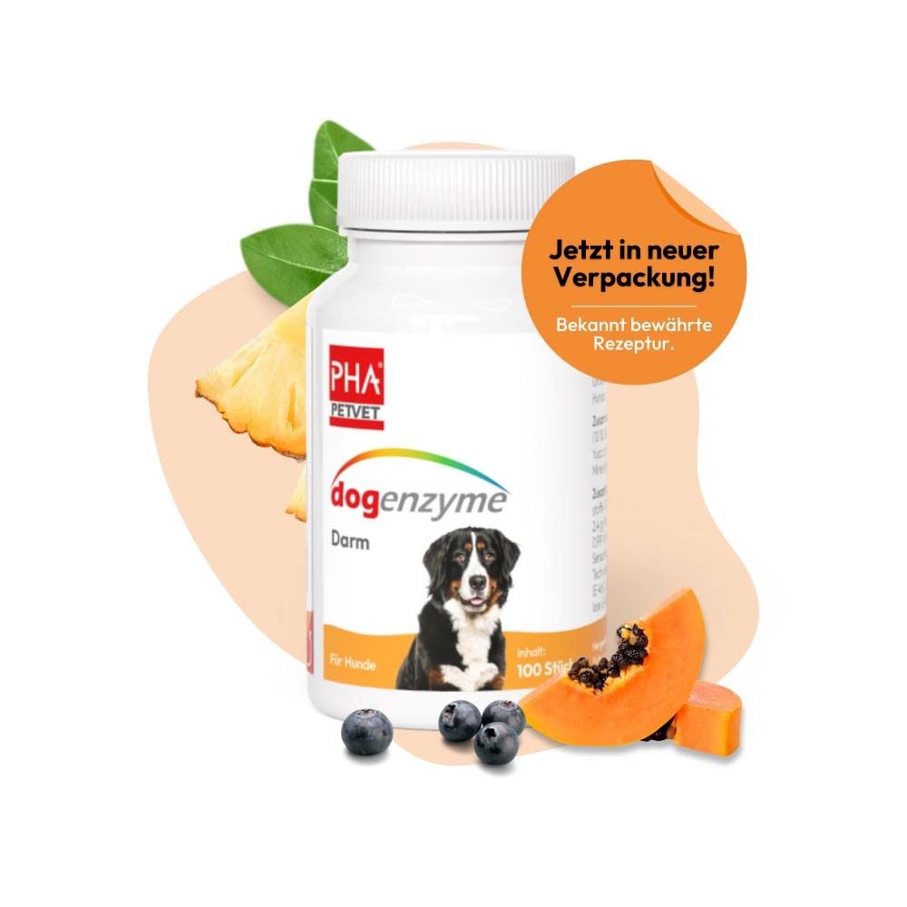 Verpackung von dogenzyme Darm mit Früchten und Hundebild.