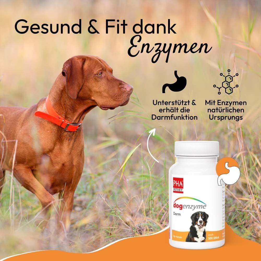 Verpackung von dogenzyme Darm mit Früchten und Hundebild.