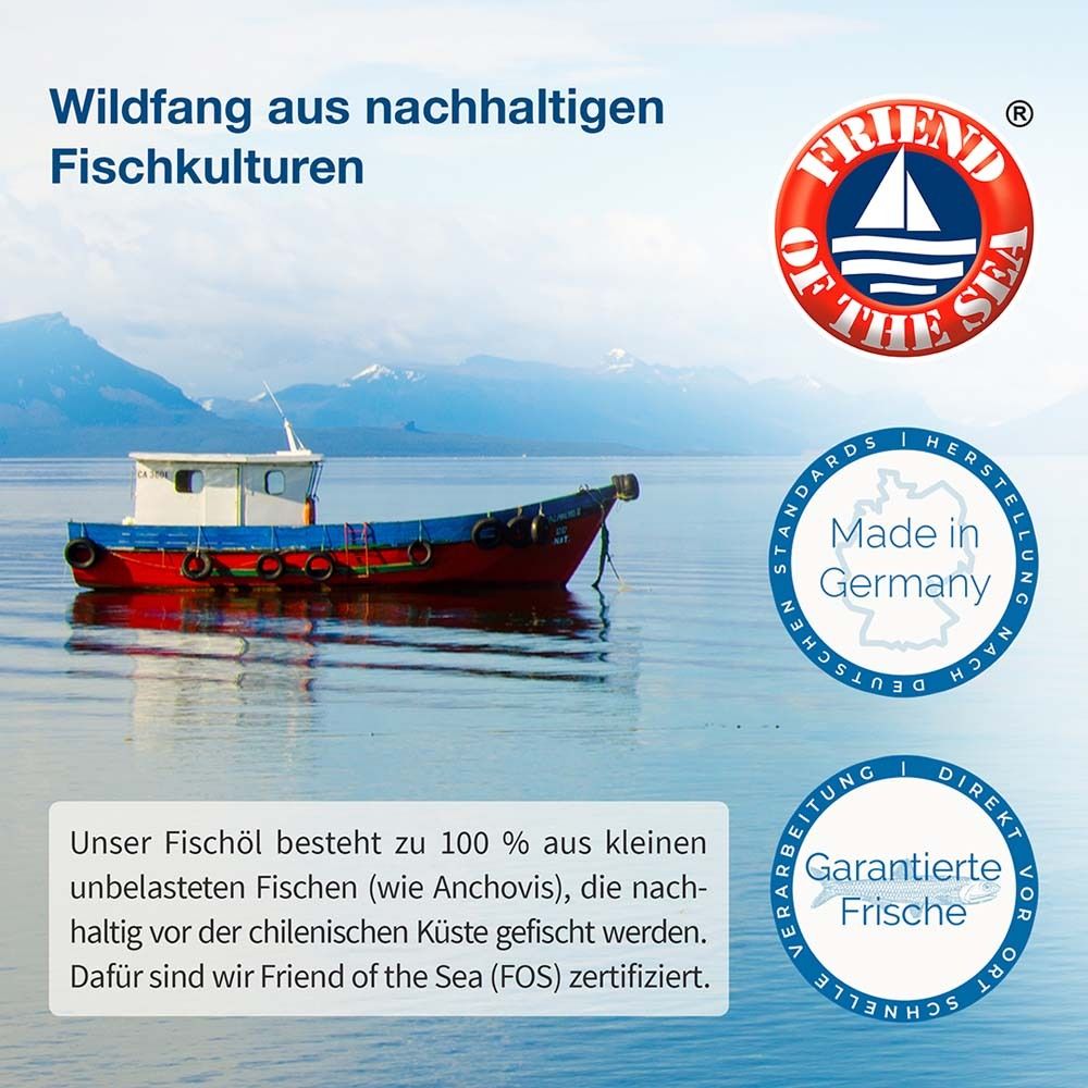 Boot auf dem Meer. Friend of the Sea-Zertifizierung. Nachhaltiger Fischfang aus kleinen, unbelasteten Fischen.