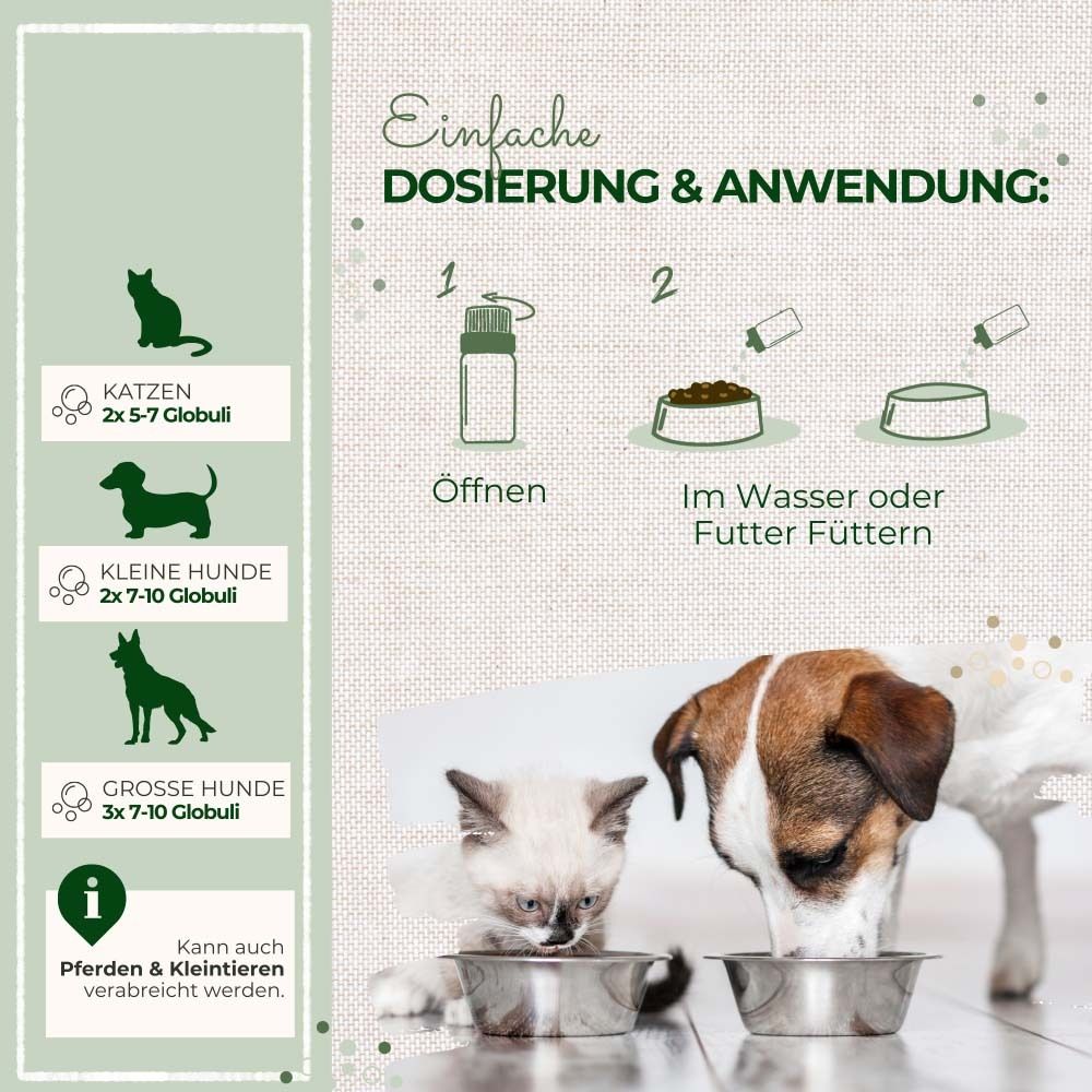 Grafik mit Dosierungsanleitung. Illustrationen von Katzen, Hunden und Fütterung. Text: Dosierung & Anwendung.