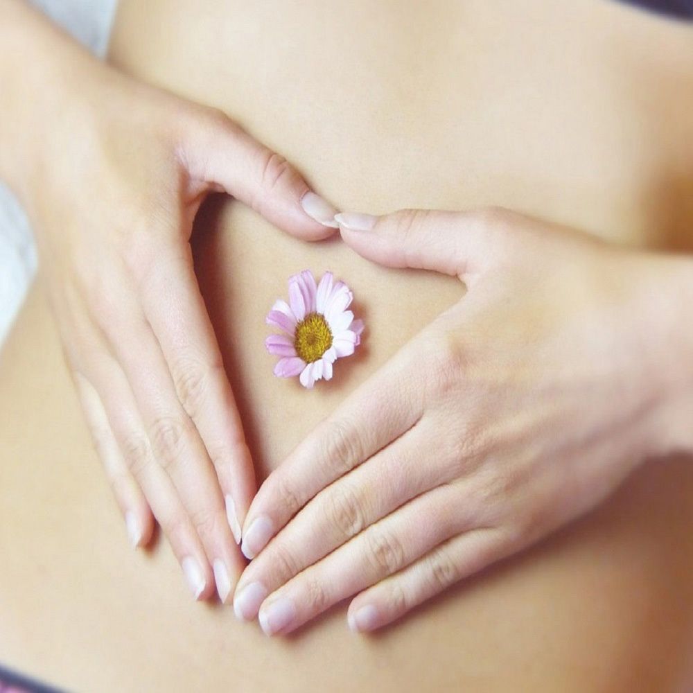 Hände formen Herz über Bauch mit Blüte. Fokus auf Hände und Blüte. Gesundheit und Wohlbefinden.