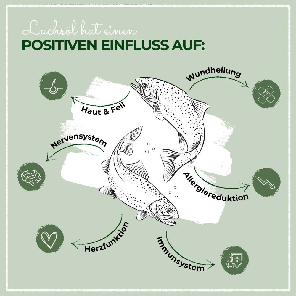 Grafik mit Illustrationen. Lachsöl hat positiven Einfluss auf: Haut & Fell, Nervensystem, Herzfunktion, Immunsystem, Wundheilung.