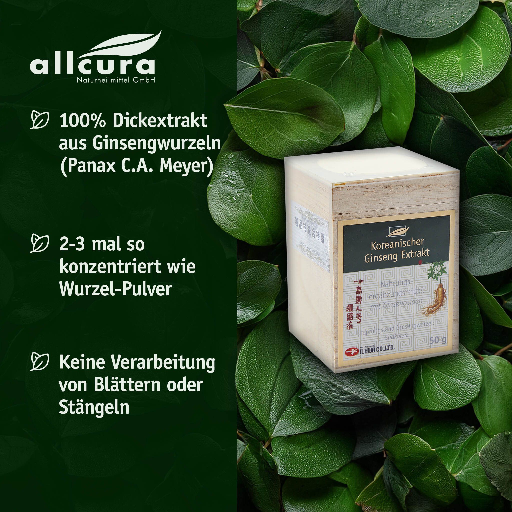 Produktbox mit Ginseng-Extrakt vor grünem Hintergrund. Text: 100% Dickextrakt, 2-3 mal konzentrierter, keine Verarbeitung von Blättern.
