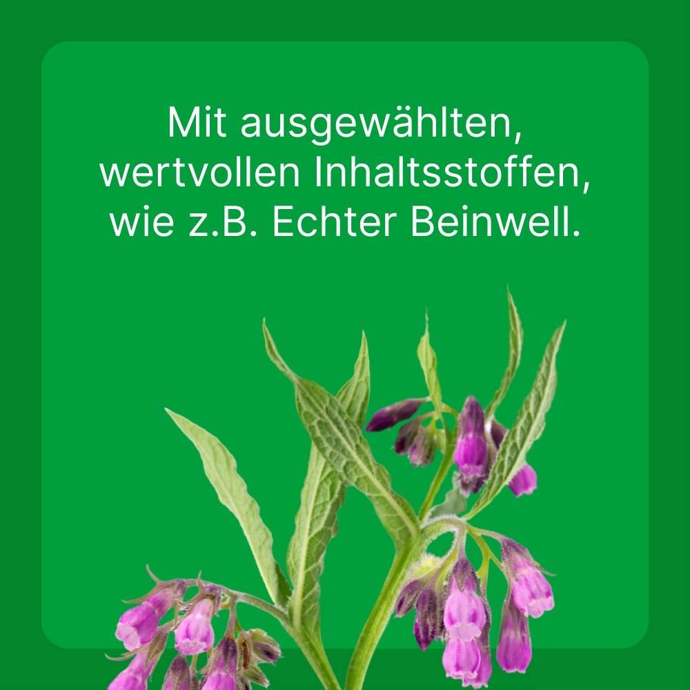 Grüner Hintergrund mit Text: Mit ausgewählten, wertvollen Inhaltsstoffen, wie z.B. Echter Beinwell. Bild von Blüten und Blättern.