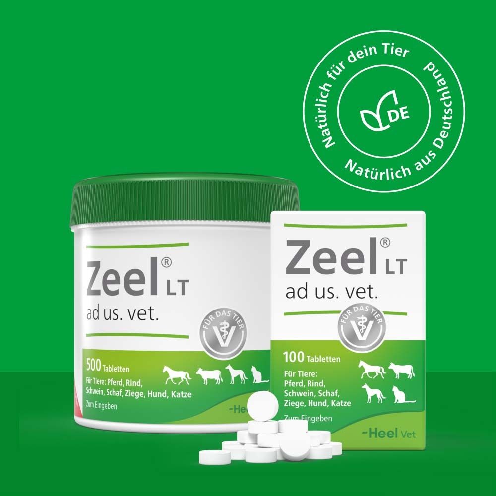 Zeel® LT ad us. vet. Tabletten und Dose. 500 Tabletten. 100 Tabletten. Für Tiere: Pferd, Rind, Schwein, Schaf, Ziege, Hund, Katze. DE Siegel.