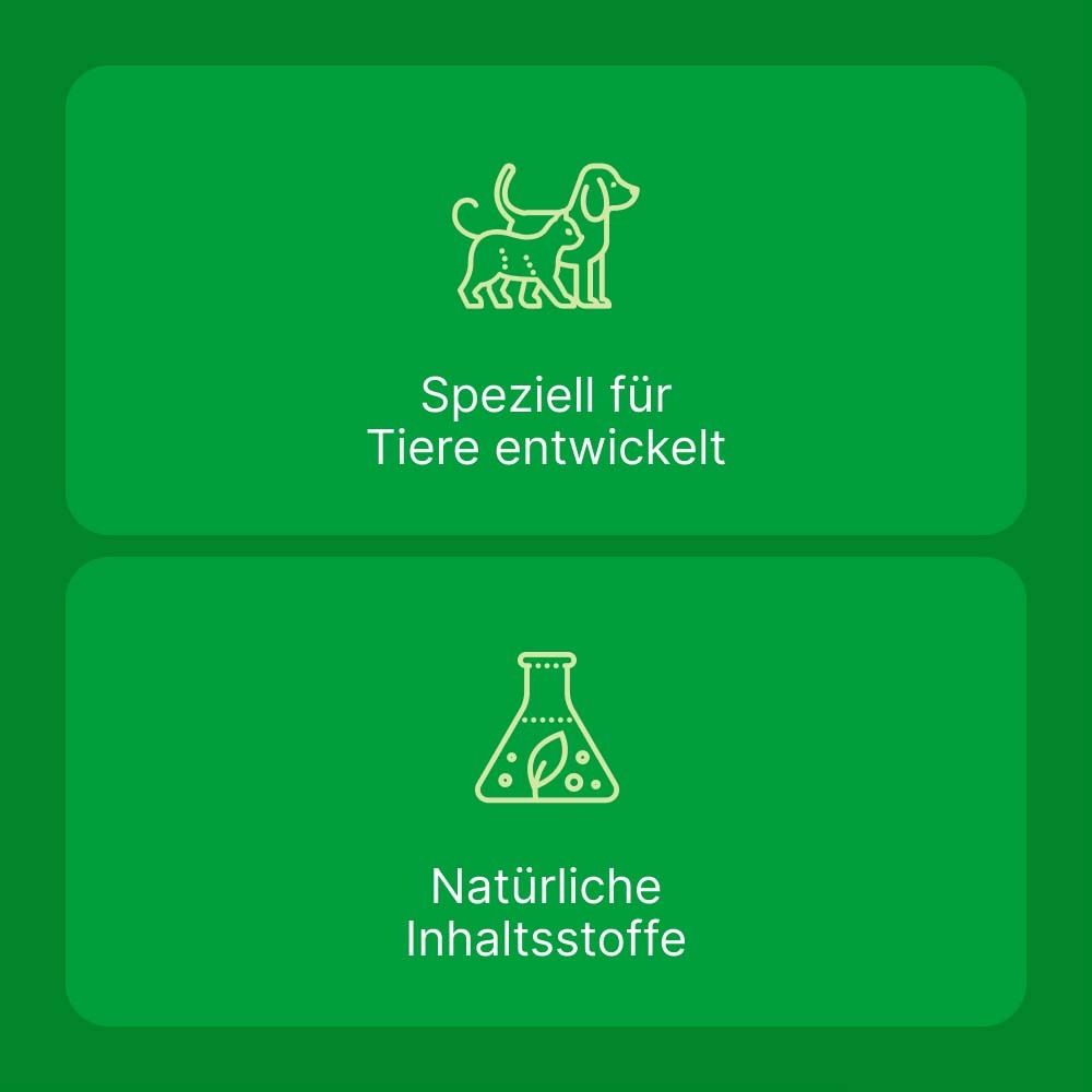 Grüner Hintergrund mit Symbolen: Speziell für Tiere entwickelt. Natürliche Inhaltsstoffe.