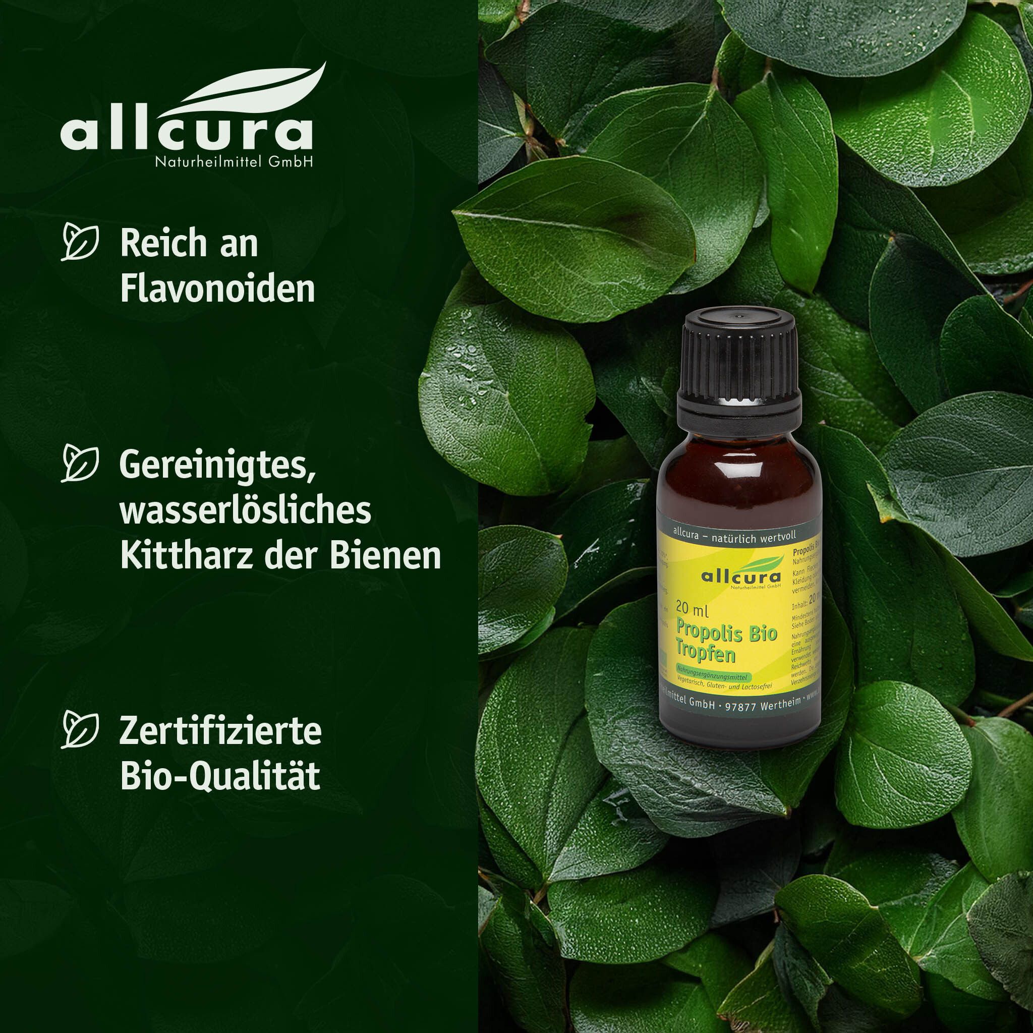Braune Glasflasche mit schwarzem Deckel, umgeben von grünen Blättern. Etikett mit Produktinformationen. Aufschrift: allcura Propolis Bio Tropfen.