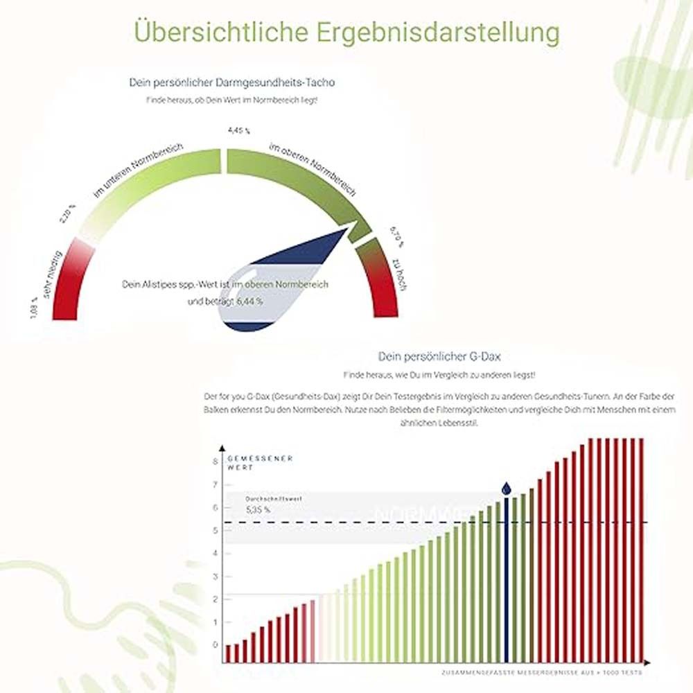 Diagramme zur Ergebnisdarstellung. Tachometer und Balkendiagramm. Text in Deutsch.