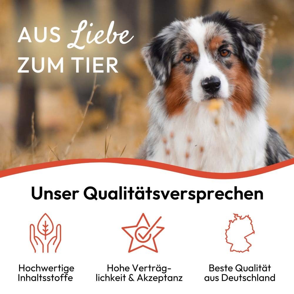 Hund im Freien. Text: Aus Liebe zum Tier. Symbole für Qualität und Herkunft.