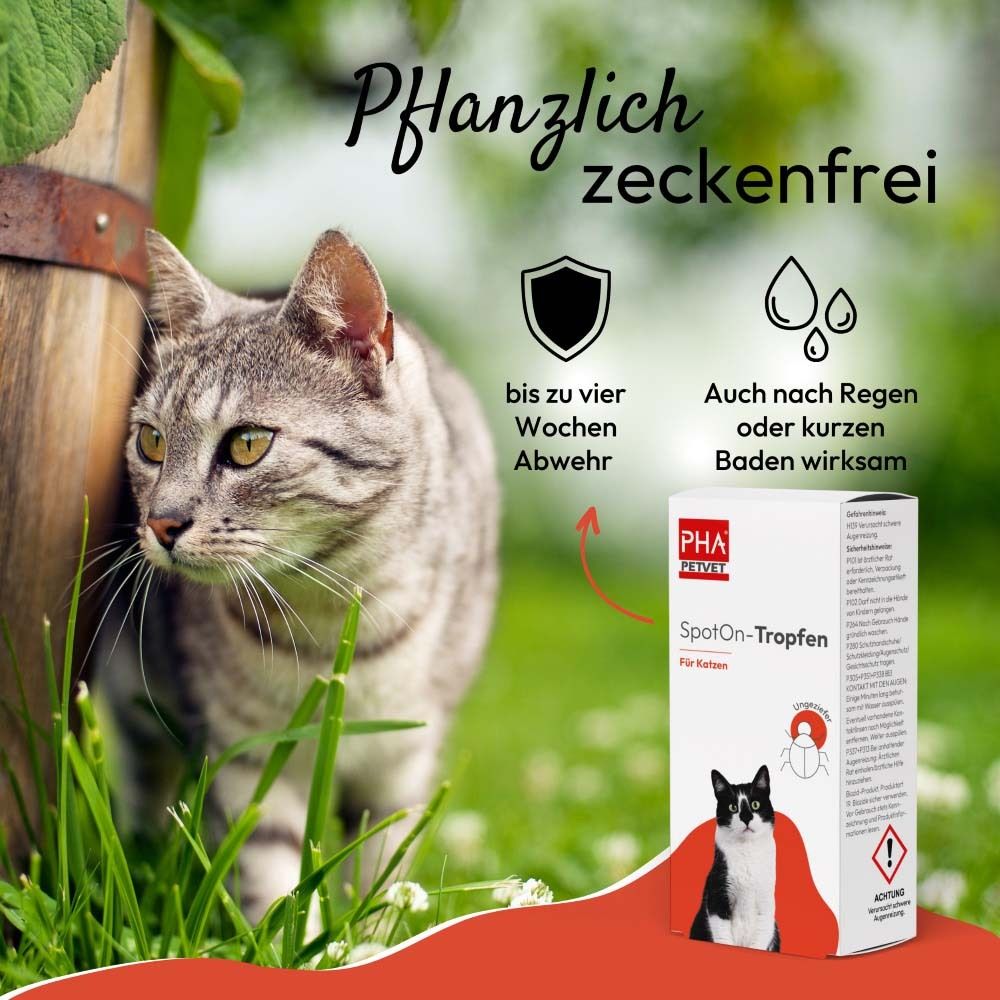 Katze im Freien mit Produktverpackung im Hintergrund. Text: Pflanzlich zeckenfrei. Logo: PHA PETVET. Text: SpotOn-Tropfen Für Katzen.